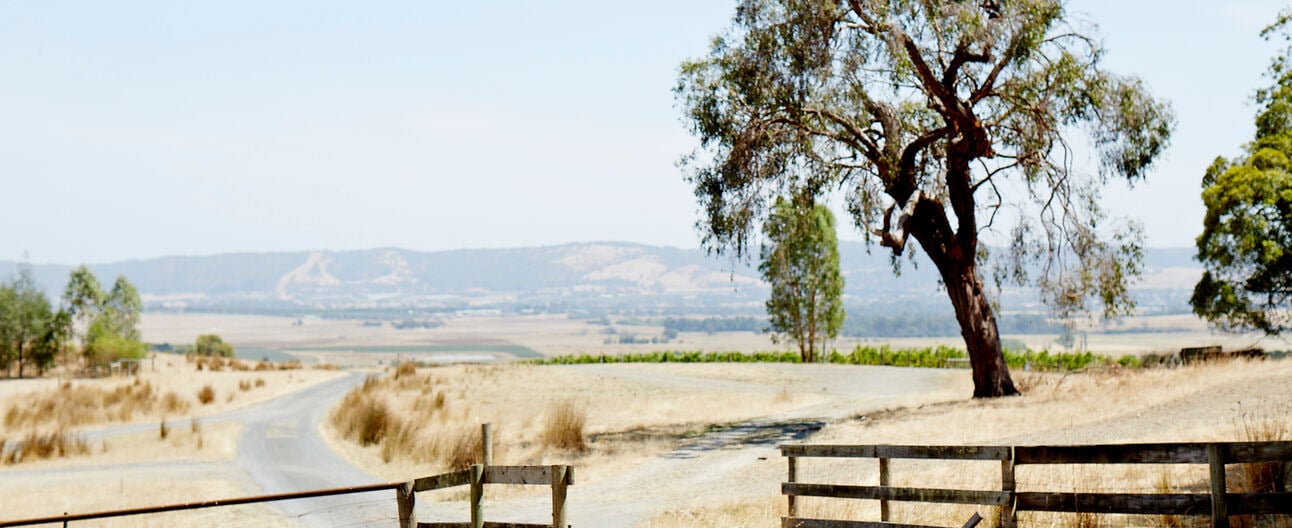 SUSTAINABILITY IN AUSTRALIAN MEAT INDUSTRIES