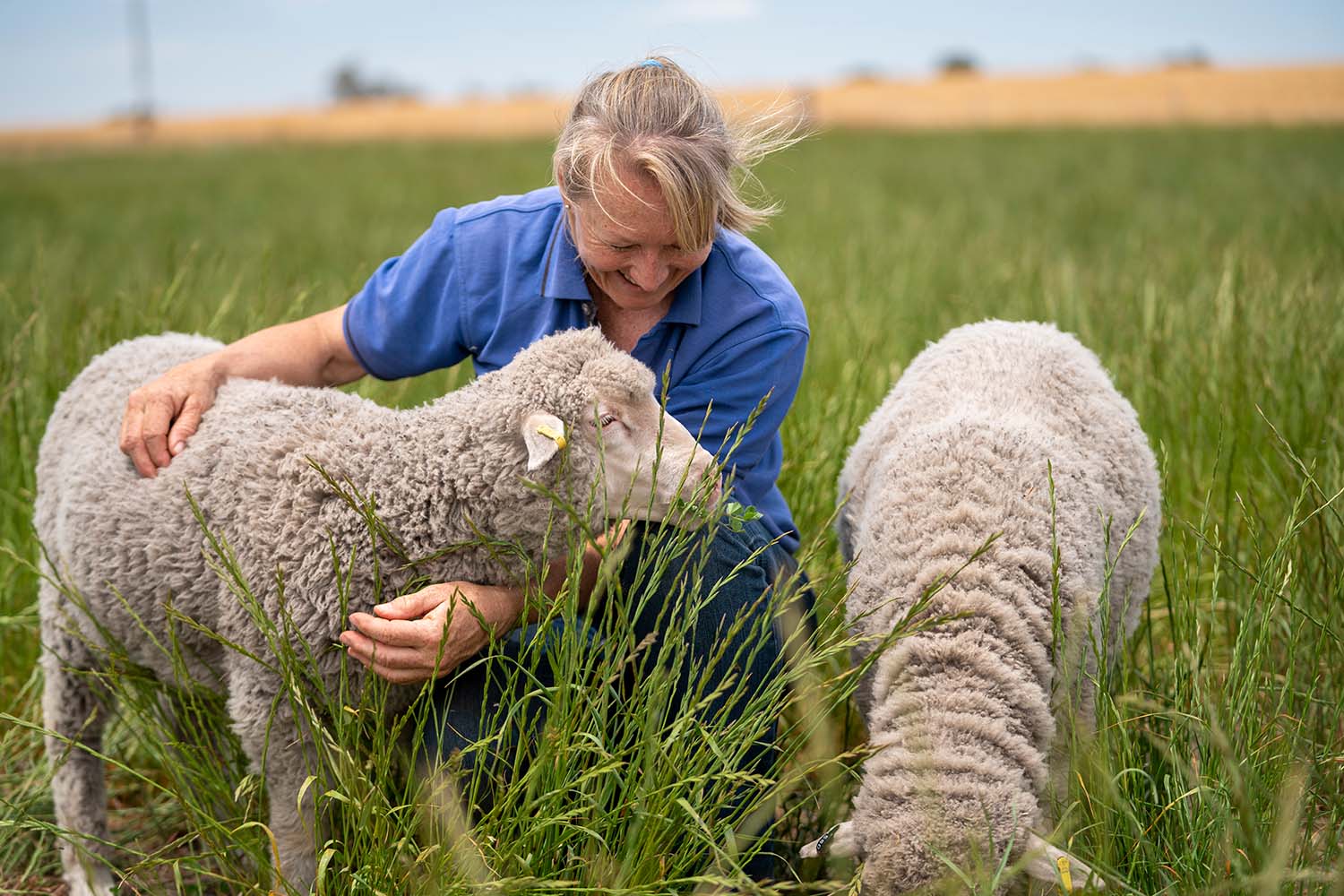 Đối xử nhân đạo với động vật
